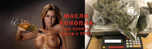 apvp Богородицк
