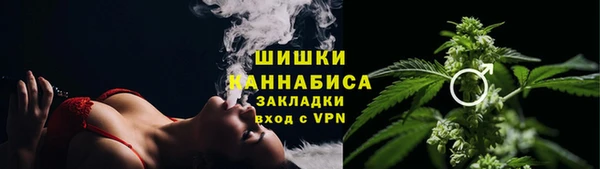 прущие грибы Богородск