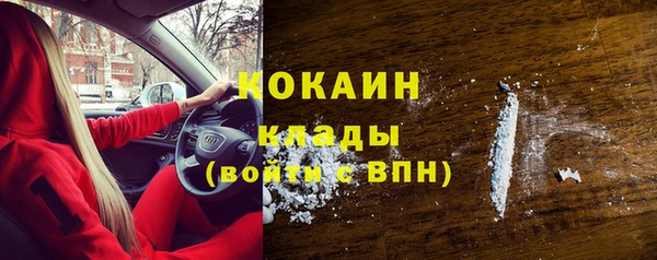 apvp Богородицк