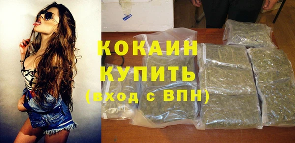 прущие грибы Богородск