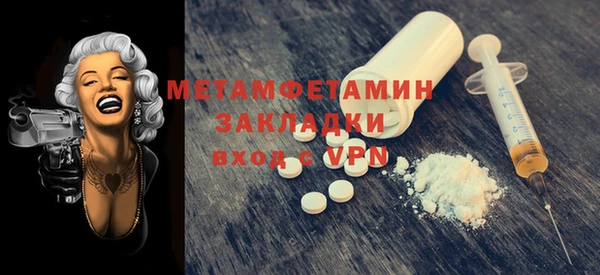 прущие грибы Богородск