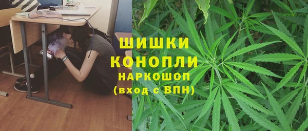 прущие грибы Богородск