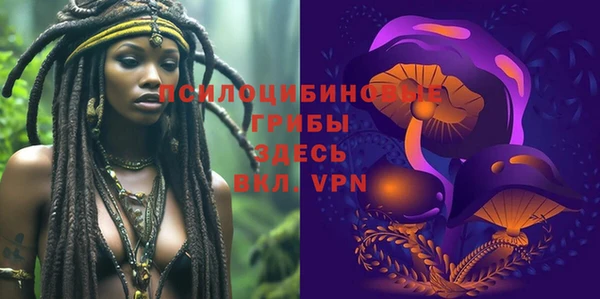 прущие грибы Богородск