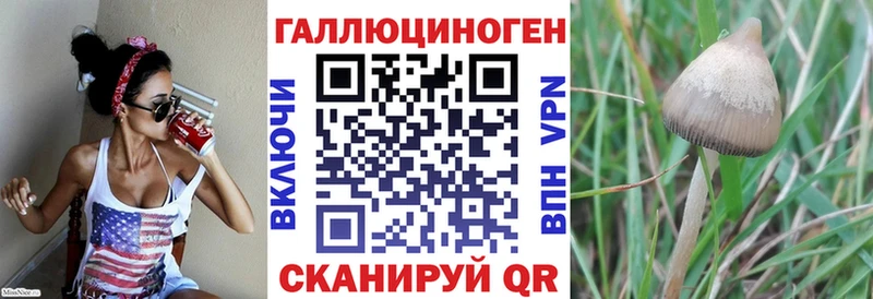 Псилоцибиновые грибы Cubensis  Миасс 