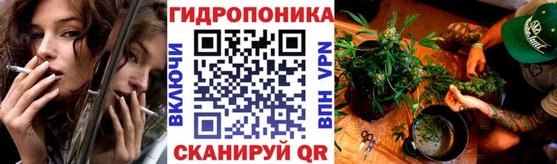 Бошки Шишки OG Kush  Миасс 